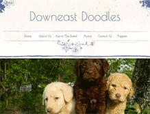Tablet Screenshot of doubledoodles.com
